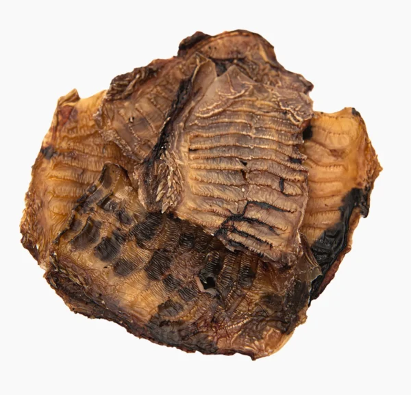 Rindergaumen Kurze – Bild 2