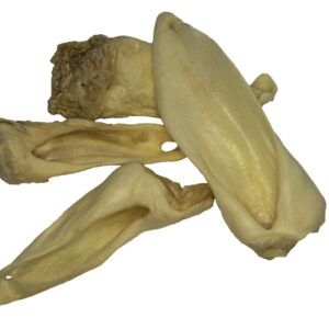 Lammohren