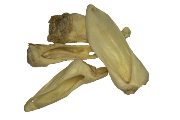 Lammohren