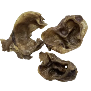Schweine Ohr Muscheln