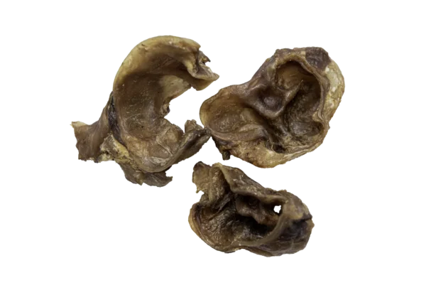 Schweine Ohr Muscheln