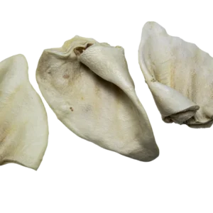 Schweine Honigohren