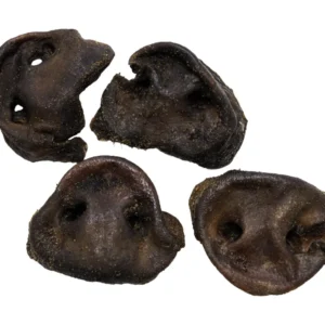 Schweine Nasen